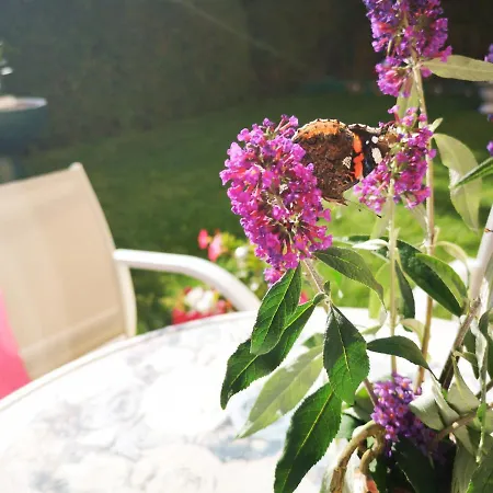 Appartement Haus Thalhammer